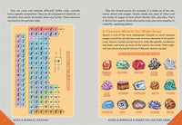 Outdoor School: Rock, Fossil, and Shell Hunting