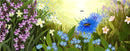 If Bees Disappeared