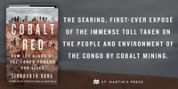 Cobalt Red: How the Blood of the Congo Powers Our Lives