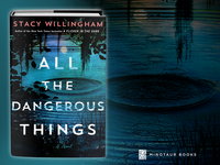 All the Dangerous Things: A Novel