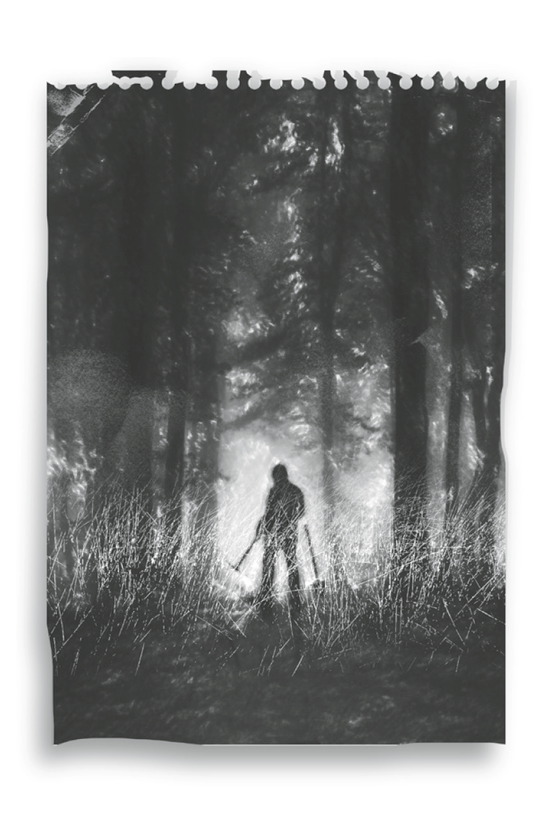 Hidden Pictures: A Novel