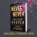 Never Never: A Romantic Suspense Novel of Love and Fate