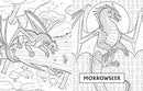 Official Wings of Fire Coloring Book