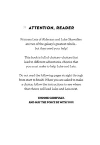 Star Wars: A Luke & Leia Adventure