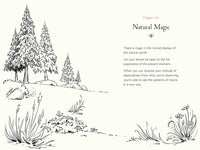 A Walk in the Wood: Meditations on Mindfulness with a Bear Named Pooh (Media tie-in)