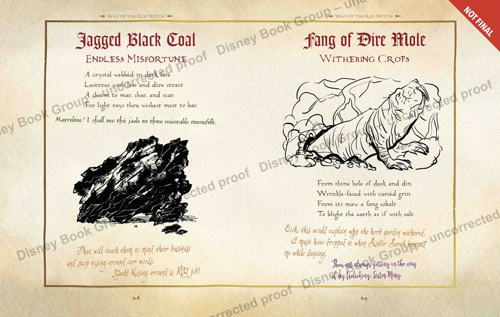 The Hocus Pocus Spell Book