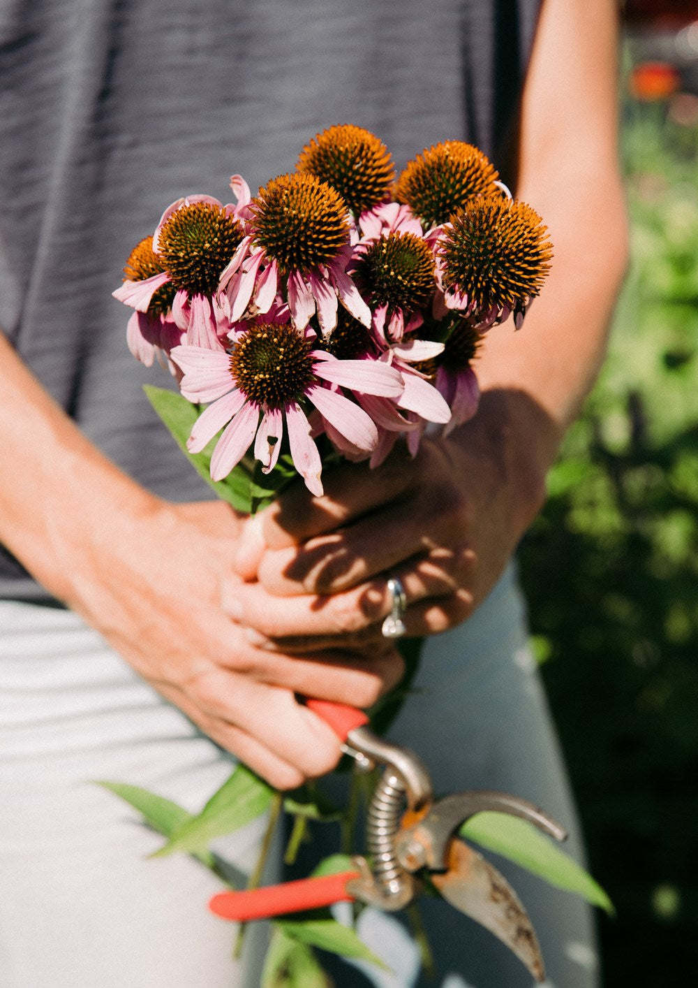 Leaves, Roots & Fruit: A Step-by-Step Guide to Planting an Organic Kitchen Garden