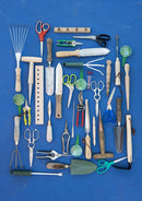 Leaves, Roots & Fruit: A Step-by-Step Guide to Planting an Organic Kitchen Garden