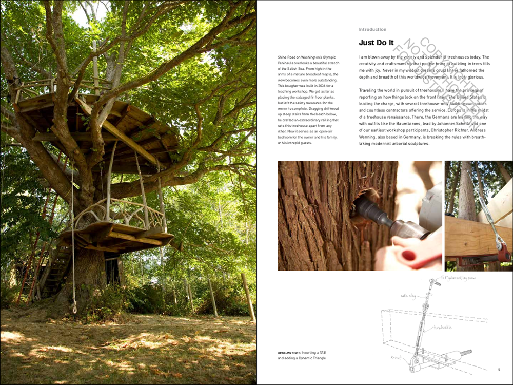 Be in a Treehouse
