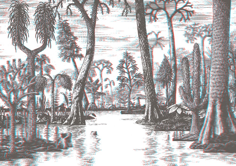 Jim Curious and the Jungle Journey