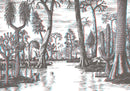 Jim Curious and the Jungle Journey