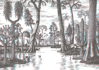 Jim Curious and the Jungle Journey