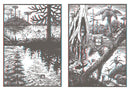 Jim Curious and the Jungle Journey
