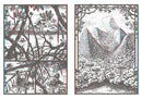 Jim Curious and the Jungle Journey
