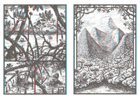 Jim Curious and the Jungle Journey