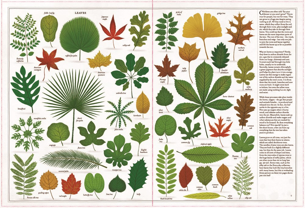 Trees