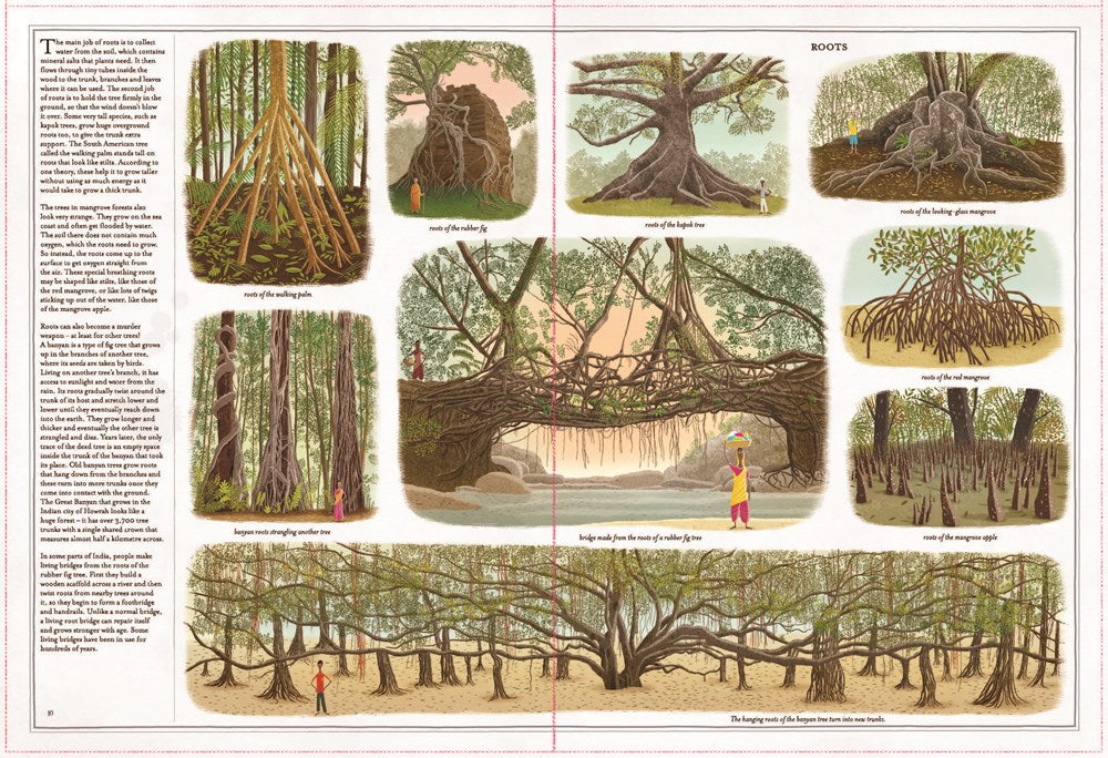 Trees