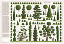Trees