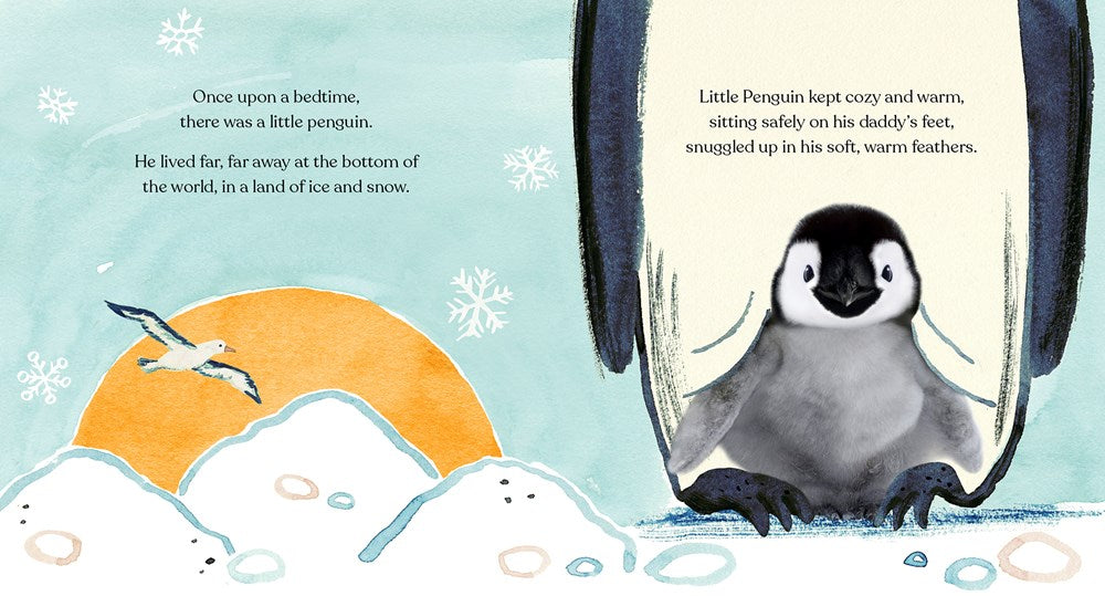 Goodnight, Little Penguin