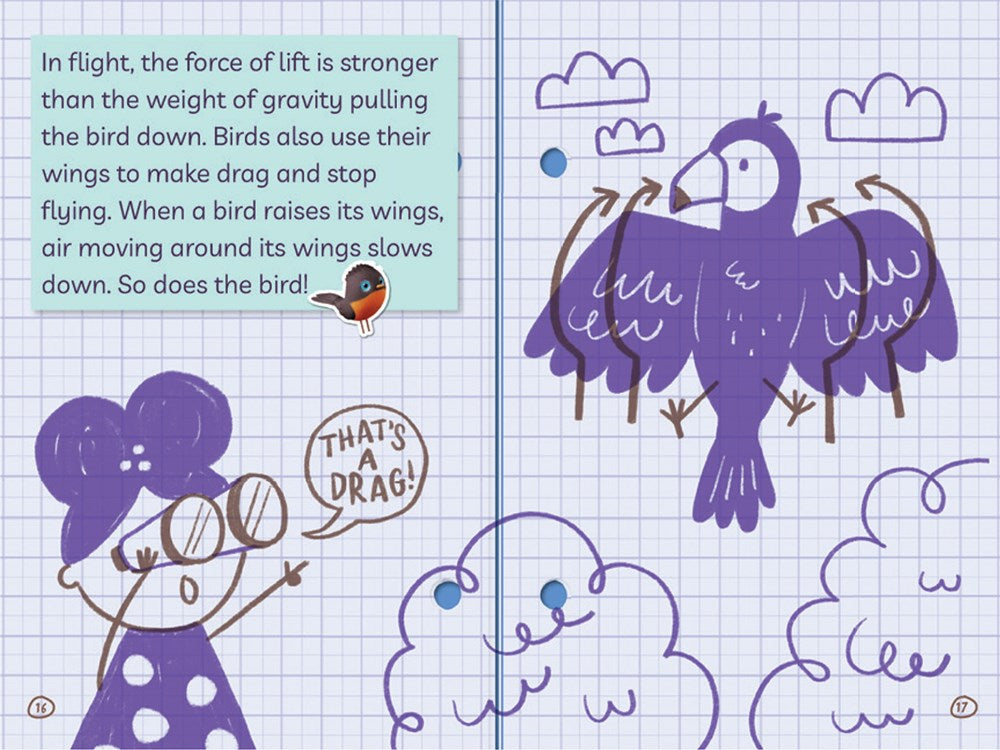 Exploring Flight! (Ada Twist, Scientist: The Why Files #1)