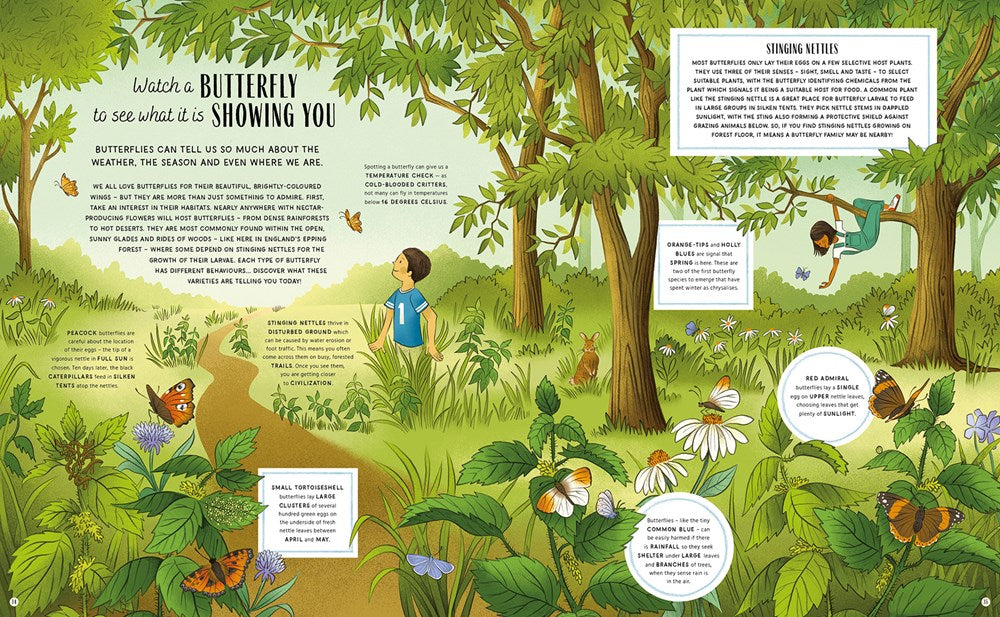 The Secret Signs of Nature