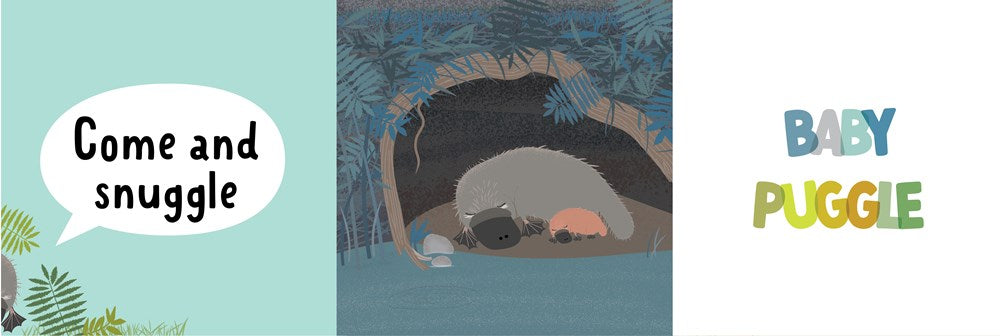 Grab Your Pillow, Armadillo