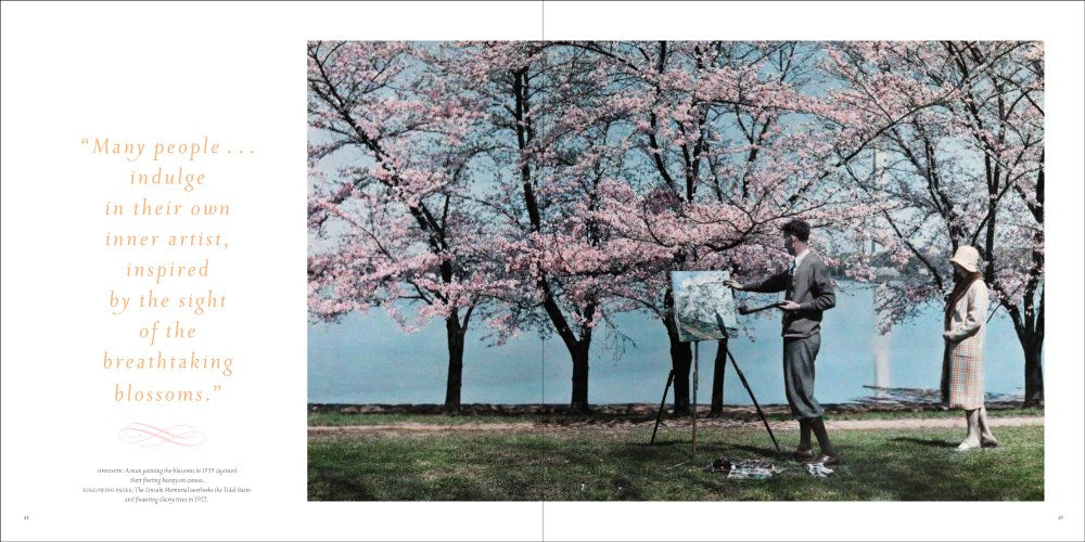 Cherry Blossoms