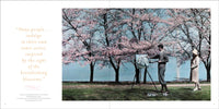 Cherry Blossoms