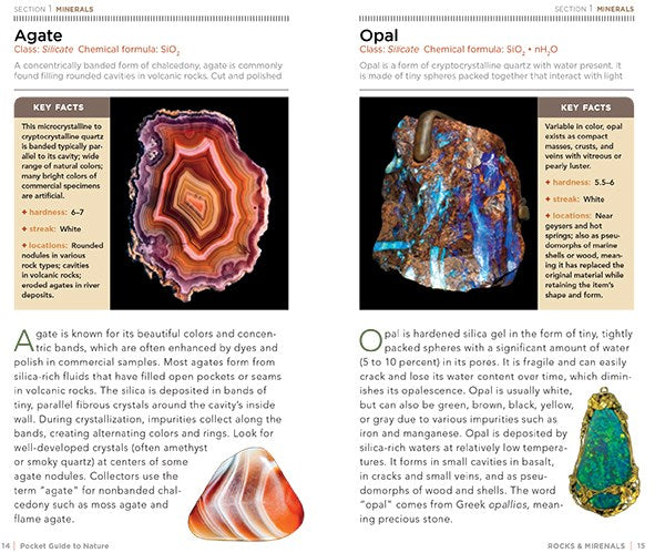 National Geographic Pocket Guide to Rocks and Minerals of North America