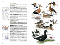 National Geographic Field Guide to the Birds of North America, 7th Edition