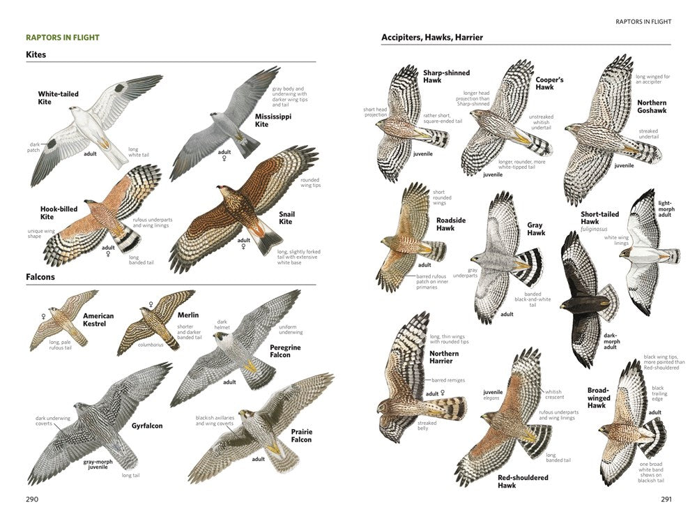 National Geographic Field Guide to the Birds of North America, 7th Edition