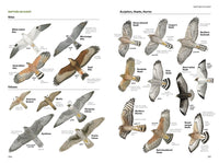 National Geographic Field Guide to the Birds of North America, 7th Edition