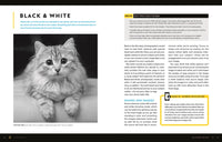 National Geographic Photo Basics: The Ultimate Beginner's Guide to Great Photography