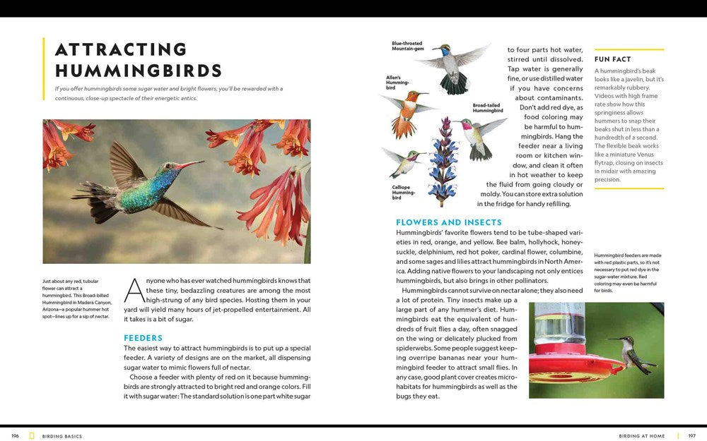 National Geographic Birding Basics