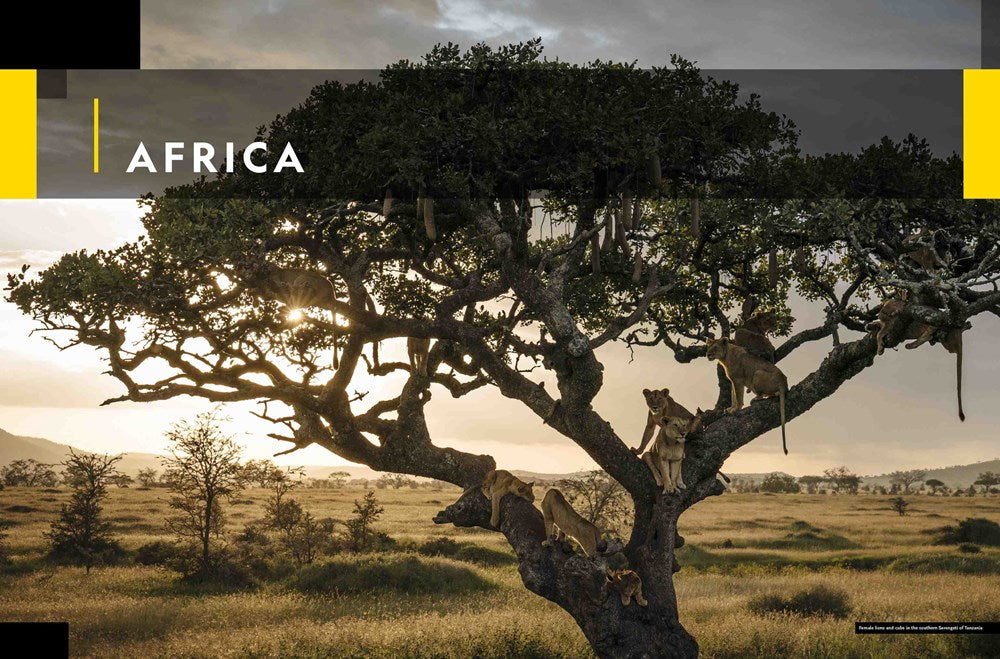 National Geographic Concise Atlas of the World, 5th edition: Authoritative and complete, with more than 200 maps and illustrations