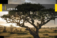 National Geographic Concise Atlas of the World, 5th edition: Authoritative and complete, with more than 200 maps and illustrations