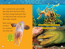 Weird Sea Creatures (National Geographic Kids Readers, Level 2)