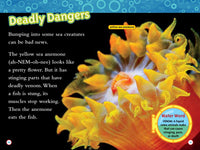 Weird Sea Creatures (National Geographic Kids Readers, Level 2)