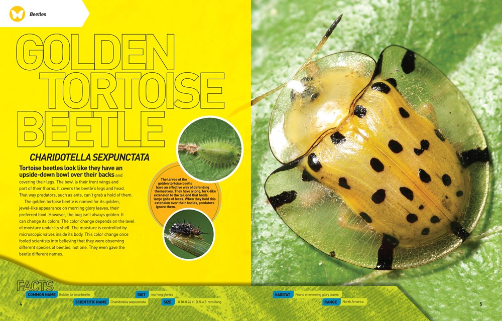 Ultimate Bugopedia: The Most Complete Bug Reference Ever