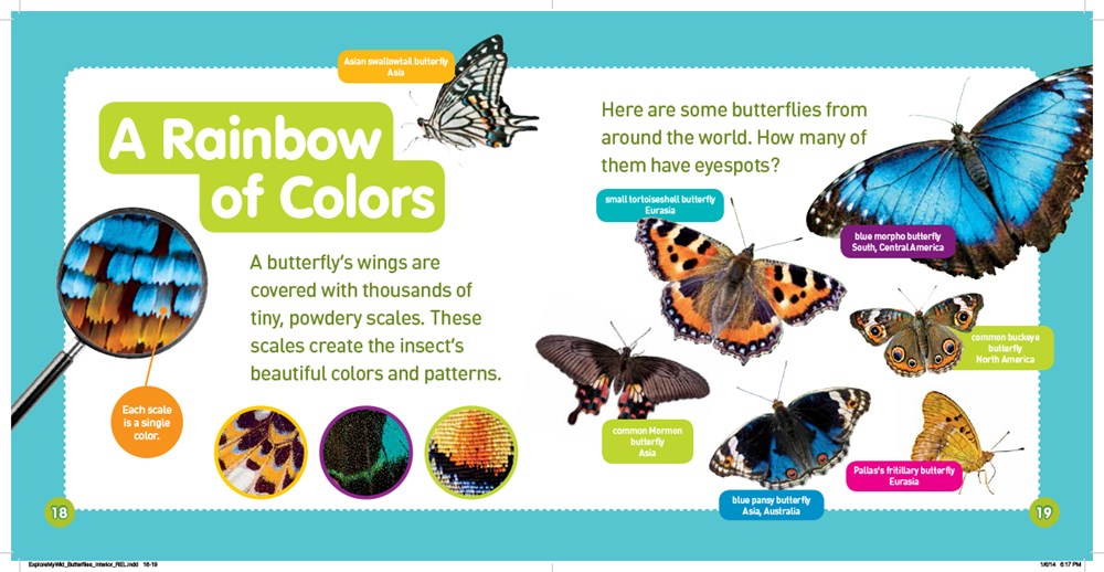 Explore My World Butterflies