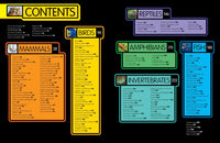 National Geographic Kids Animal Encyclopedia 2nd edition: 2,500 Animals with Photos, Maps, and More!