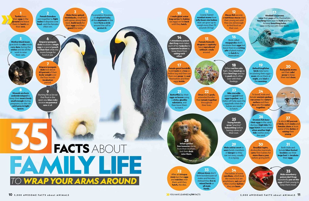 5,000 Awesome Facts About Animals