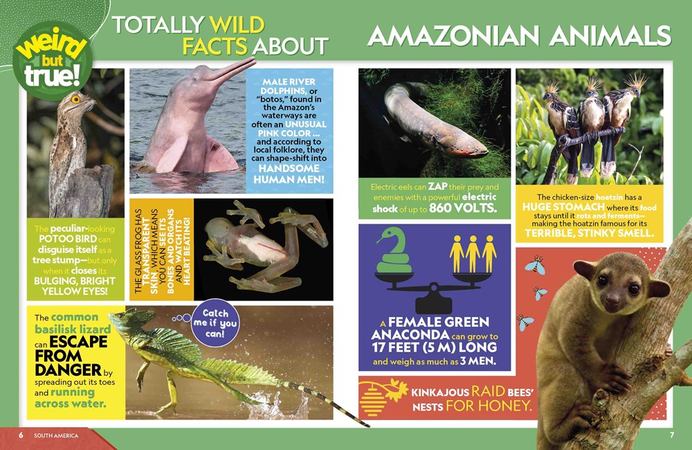 Weird But True World 2023: Incredible facts, awesome photos, and weird wonders#for THIS YEAR and beyond!