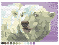 Color Quest: Amazing Animals