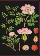 The Art of Instruction Notebook Collection