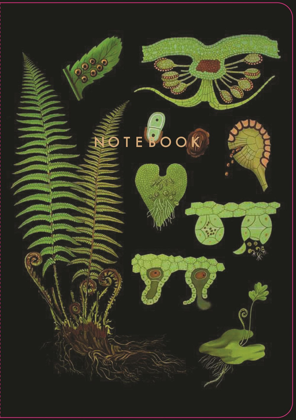 The Art of Instruction Notebook Collection