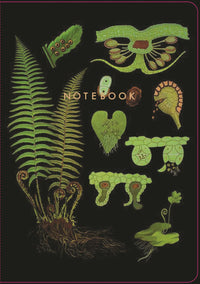 The Art of Instruction Notebook Collection