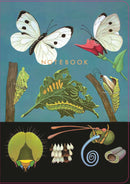 The Art of Instruction Notebook Collection