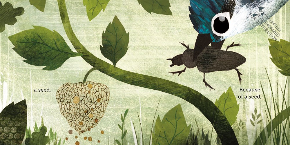 Because of an Acorn