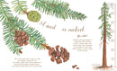 A Seed Is Sleepy: (Nature Books for Kids, Environmental Science for Kids)